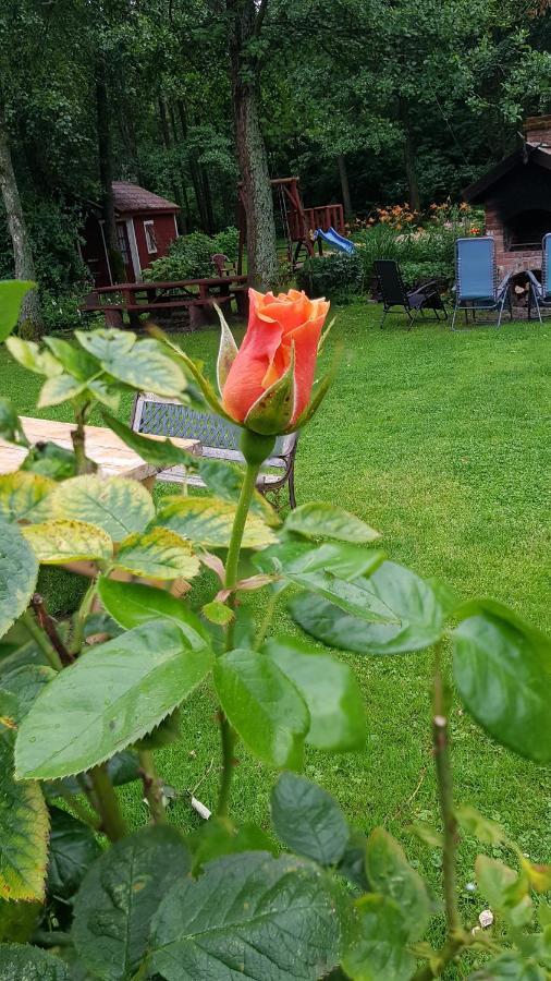 Namelis Nr 1 Adeles Sodyba Sturmai Buitenkant foto