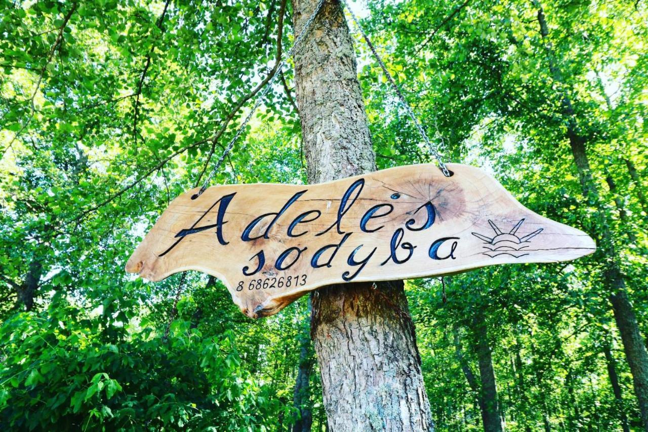 Namelis Nr 1 Adeles Sodyba Sturmai Buitenkant foto