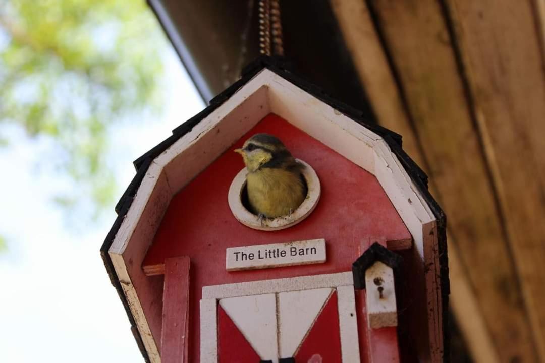 Namelis Nr 1 Adeles Sodyba Sturmai Buitenkant foto