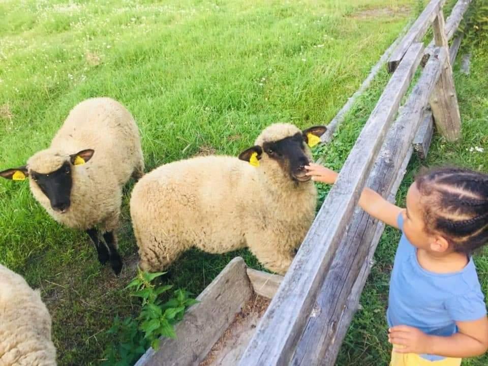 Namelis Nr 1 Adeles Sodyba Sturmai Buitenkant foto