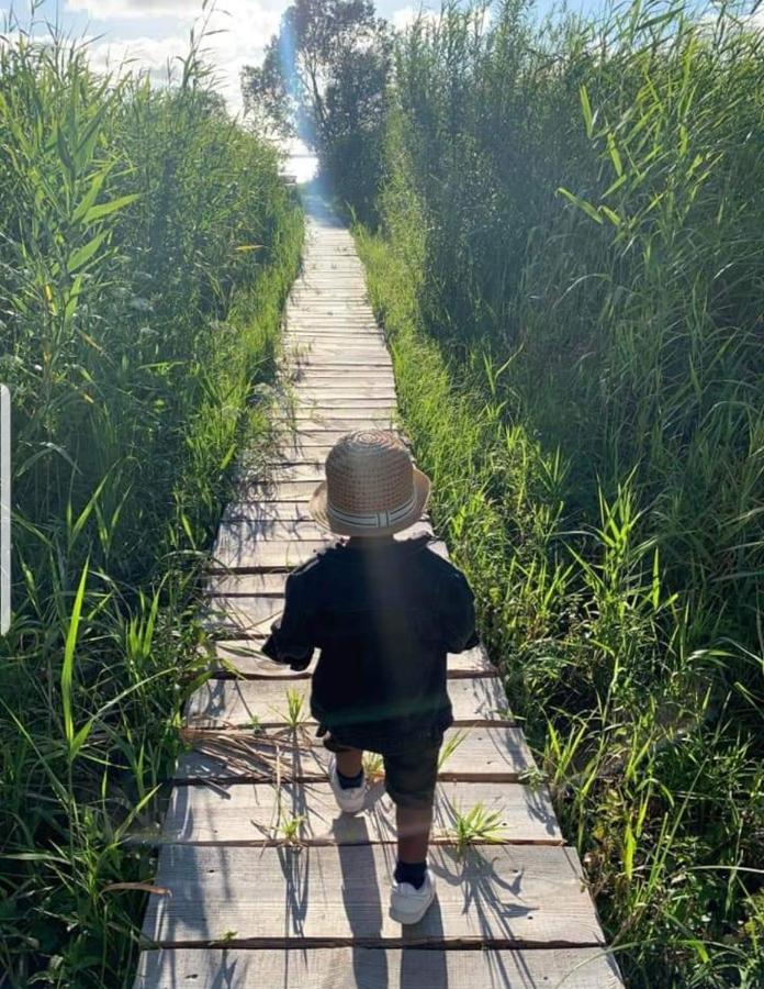 Namelis Nr 1 Adeles Sodyba Sturmai Buitenkant foto